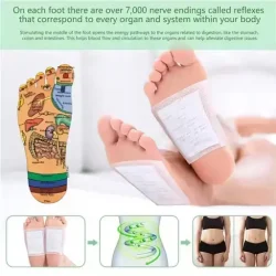 Kiyome Kinoki Cleansing Detox Foot Pads